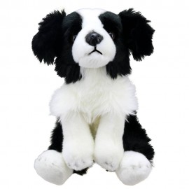 Border Collie - Wilberry Favourites